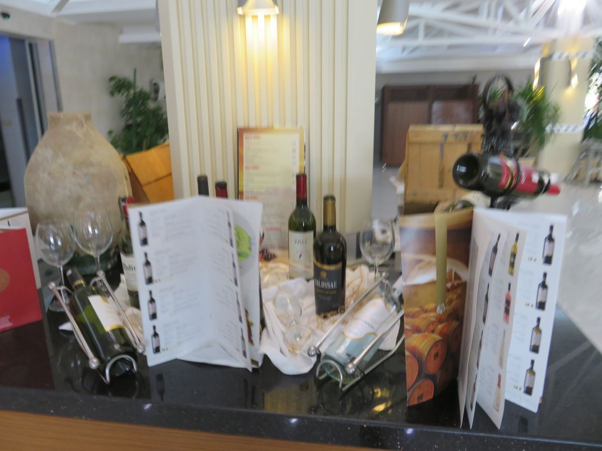 imagini hotel Von Elite